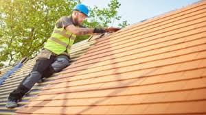 Best Roof Moss and Algae Removal  in South Barre, VT