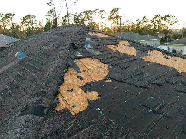 Best Roof Moss and Algae Removal  in South Barre, VT